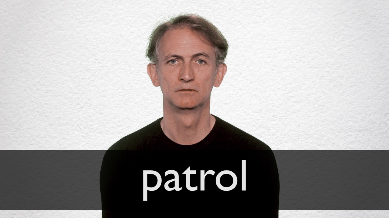 patrol synonym