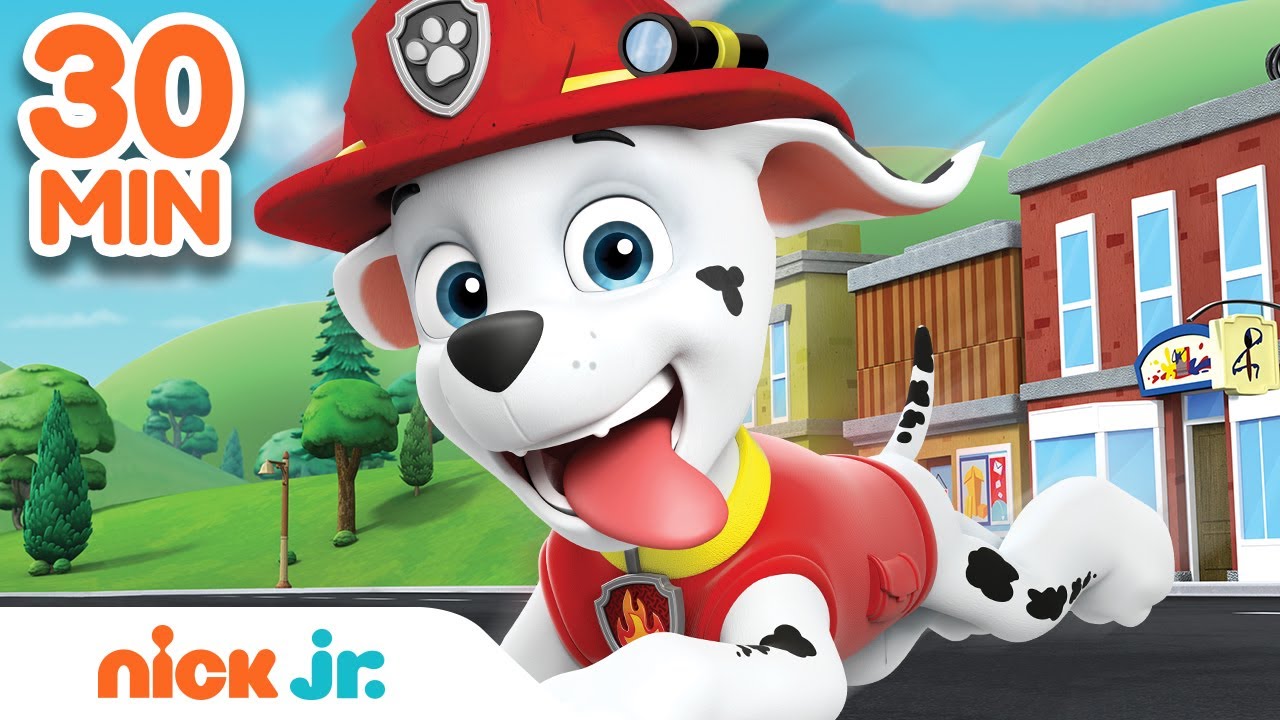 paw patrol the video