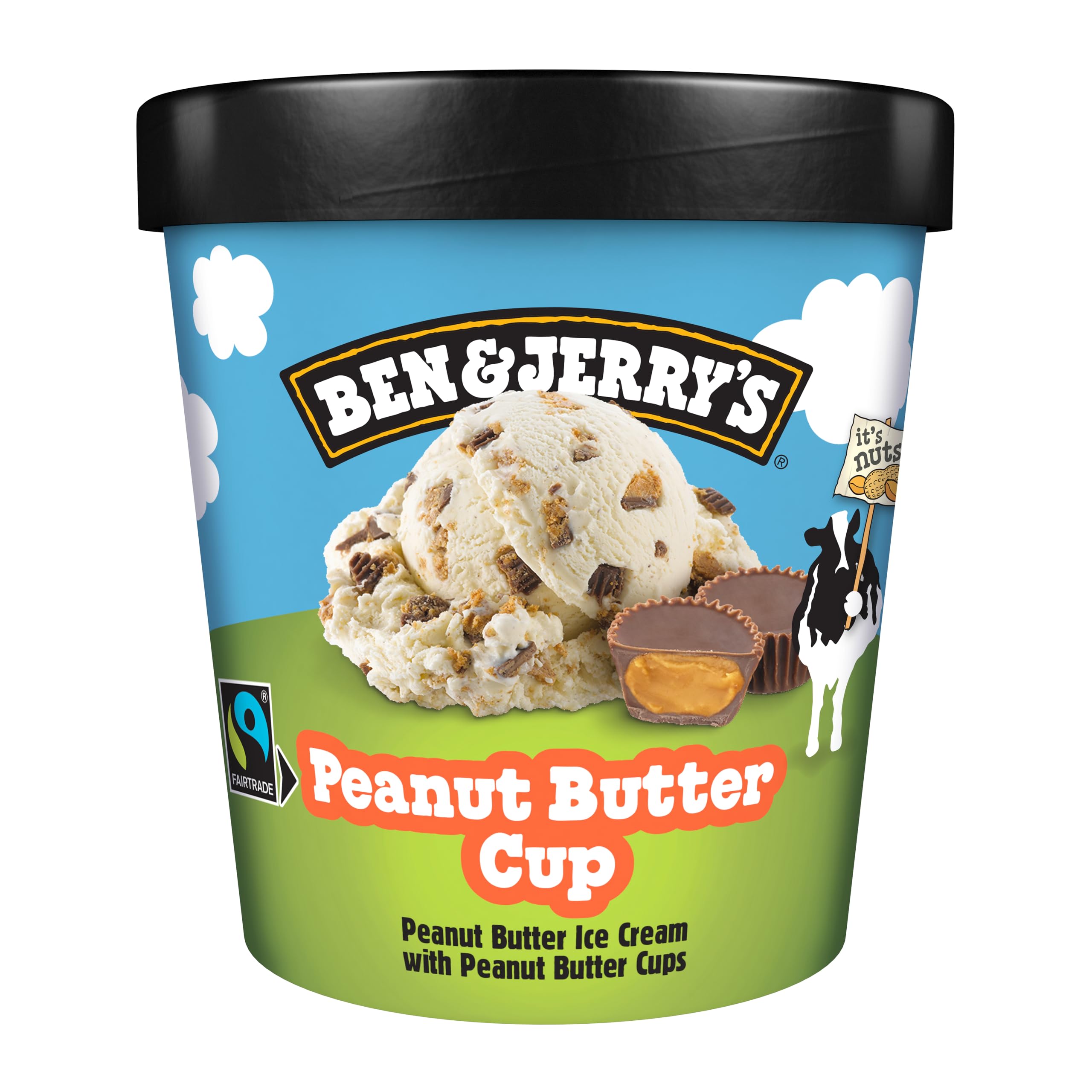 peanut butter cup ben and jerrys