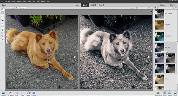 photoshop elements 14 release date