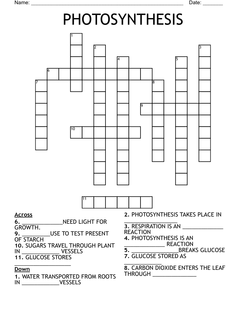 photosynthesis crossword puzzle answers