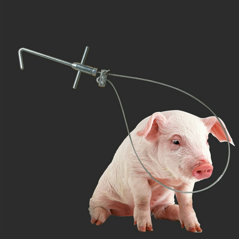 pig catcher