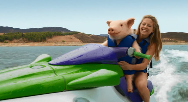 pigs jet skis