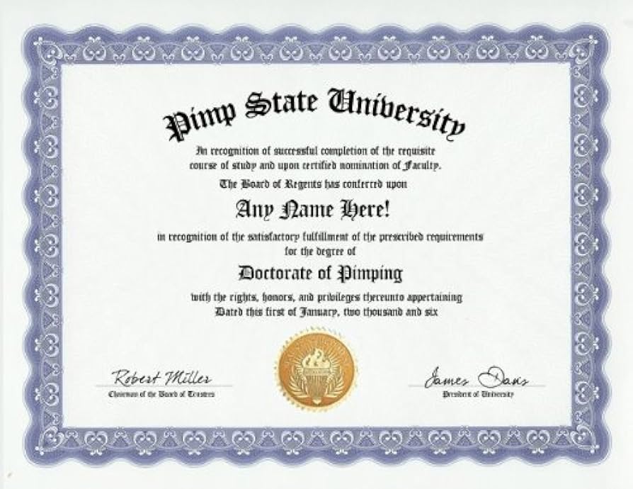 pimpin hoes degree