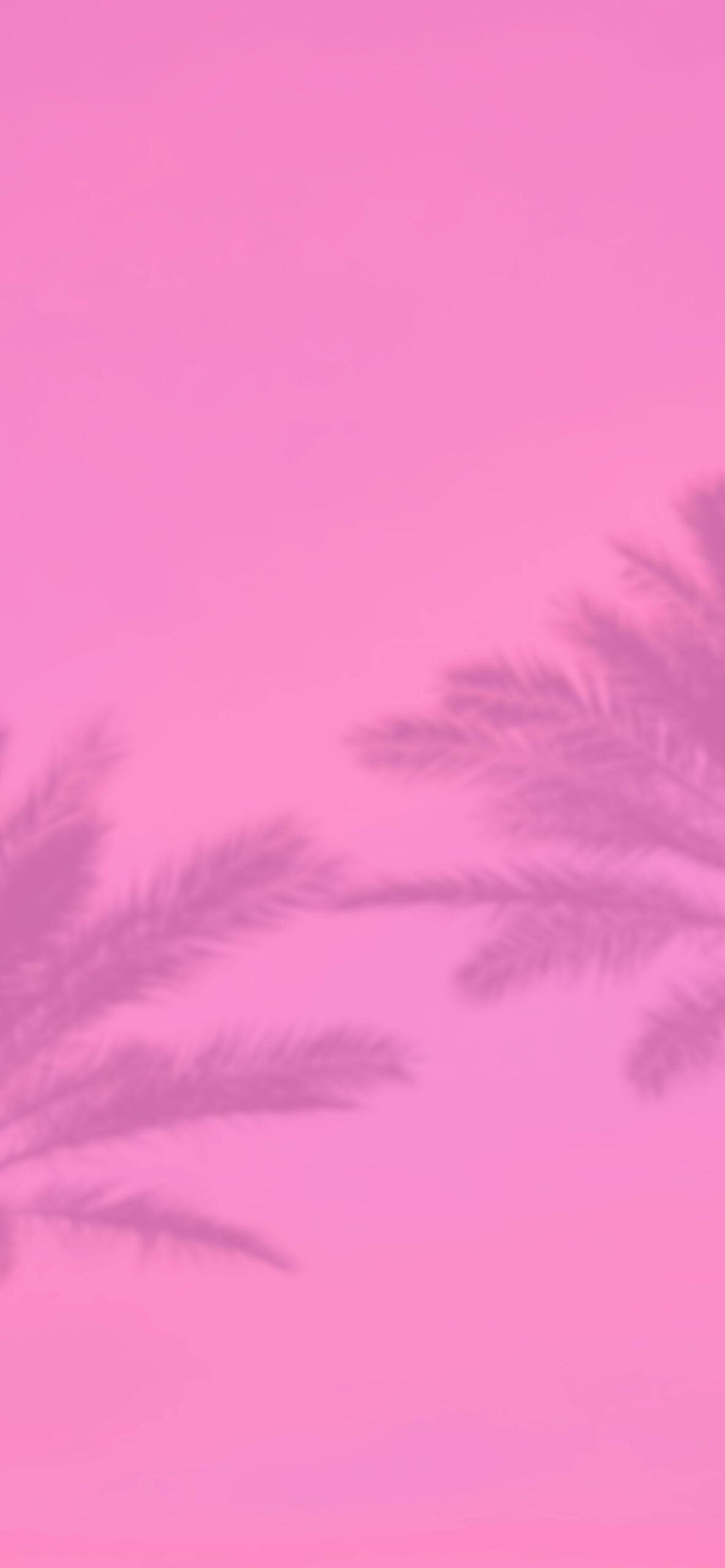 pink background aesthetic