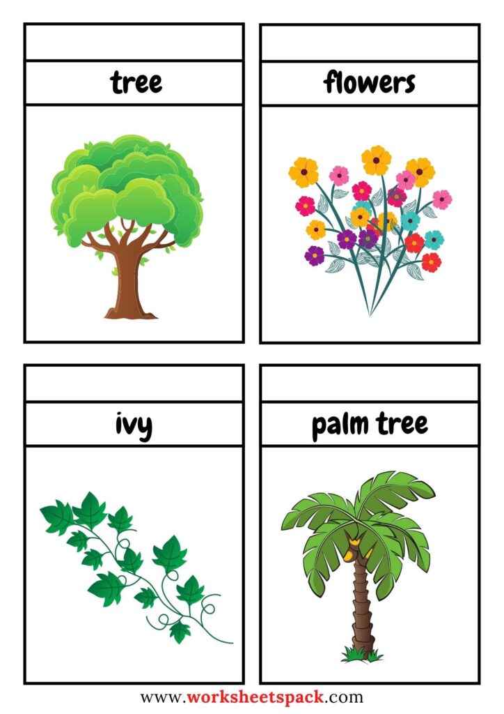 plants flashcards pdf