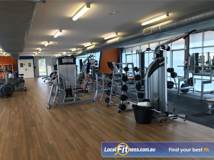 plus fitness oakleigh