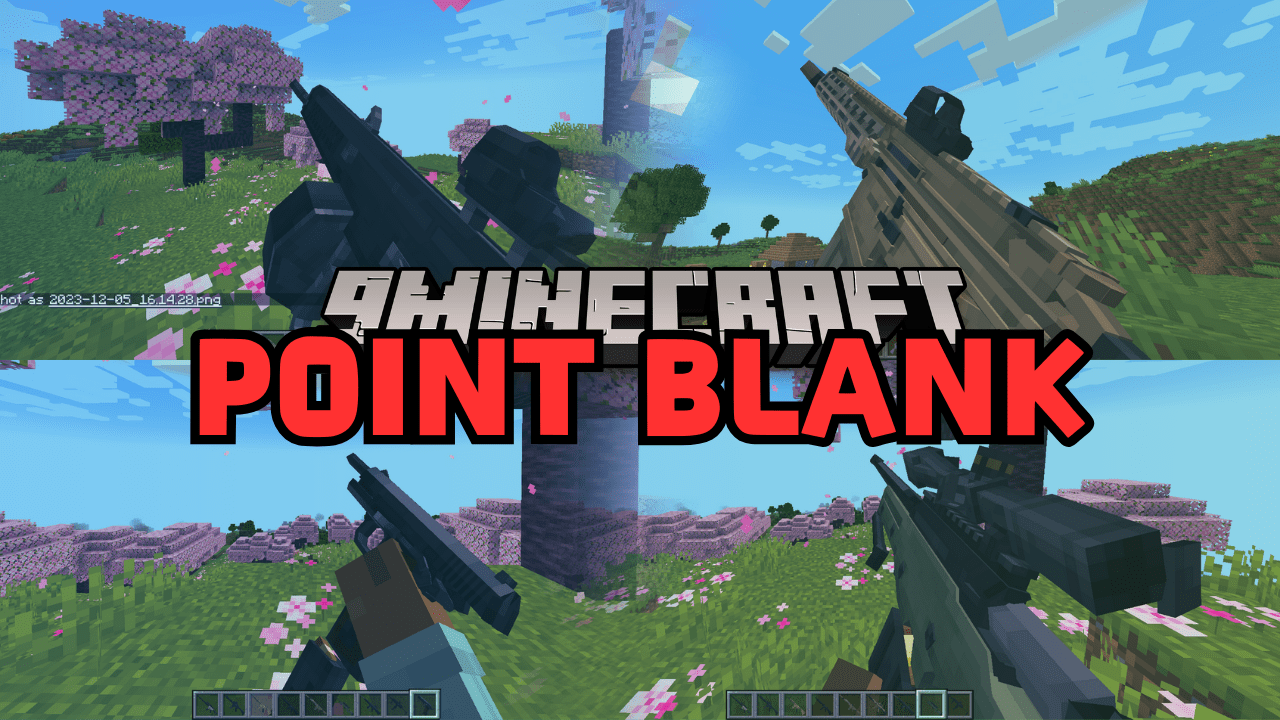 point blank mod