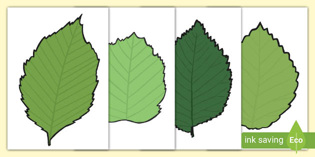 printable leaves