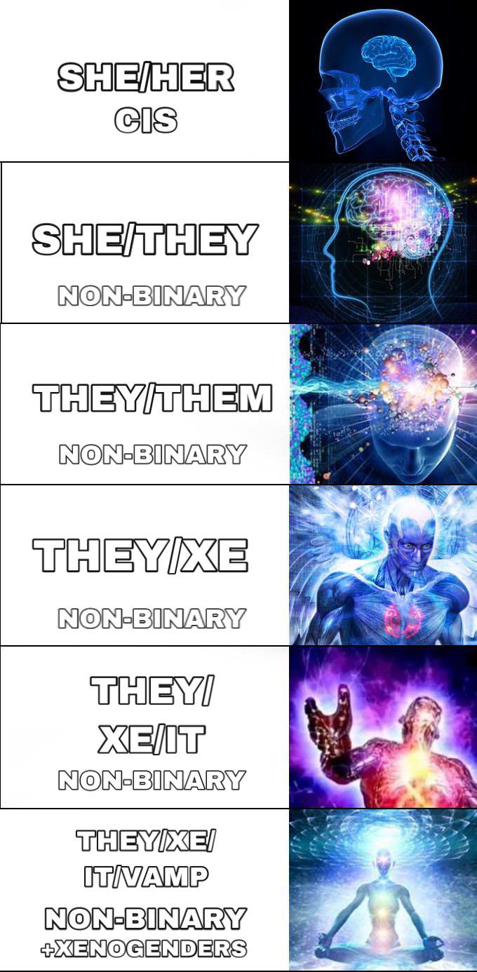 pronouns meme