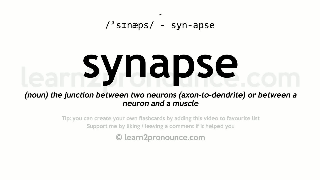 pronunciation of synapse