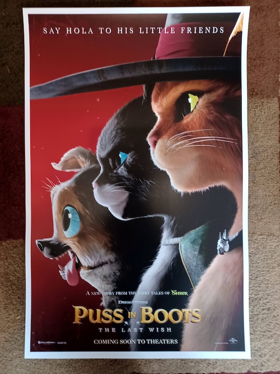 puss and boots poster