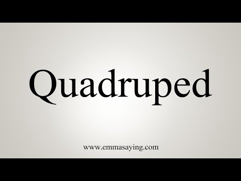 quadruped pronunciation