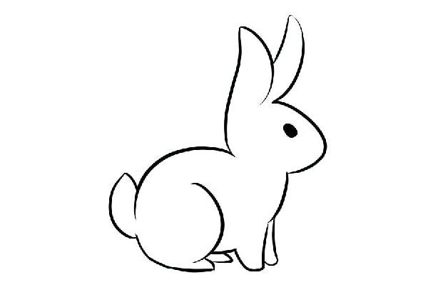 rabbit dibujos