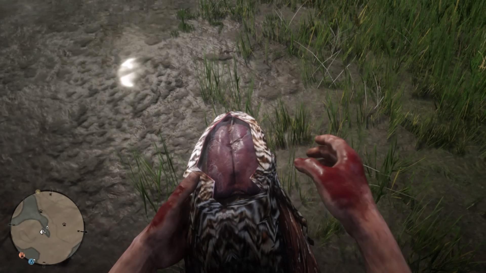 rdr2 plump bird meat