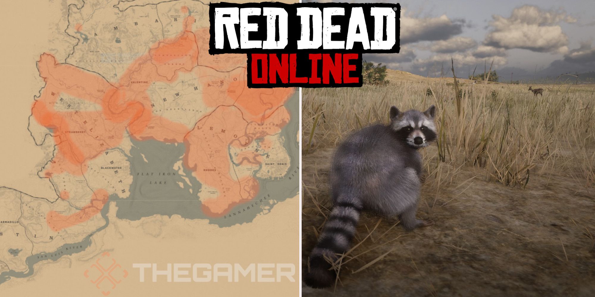 rdr2 raccoon location