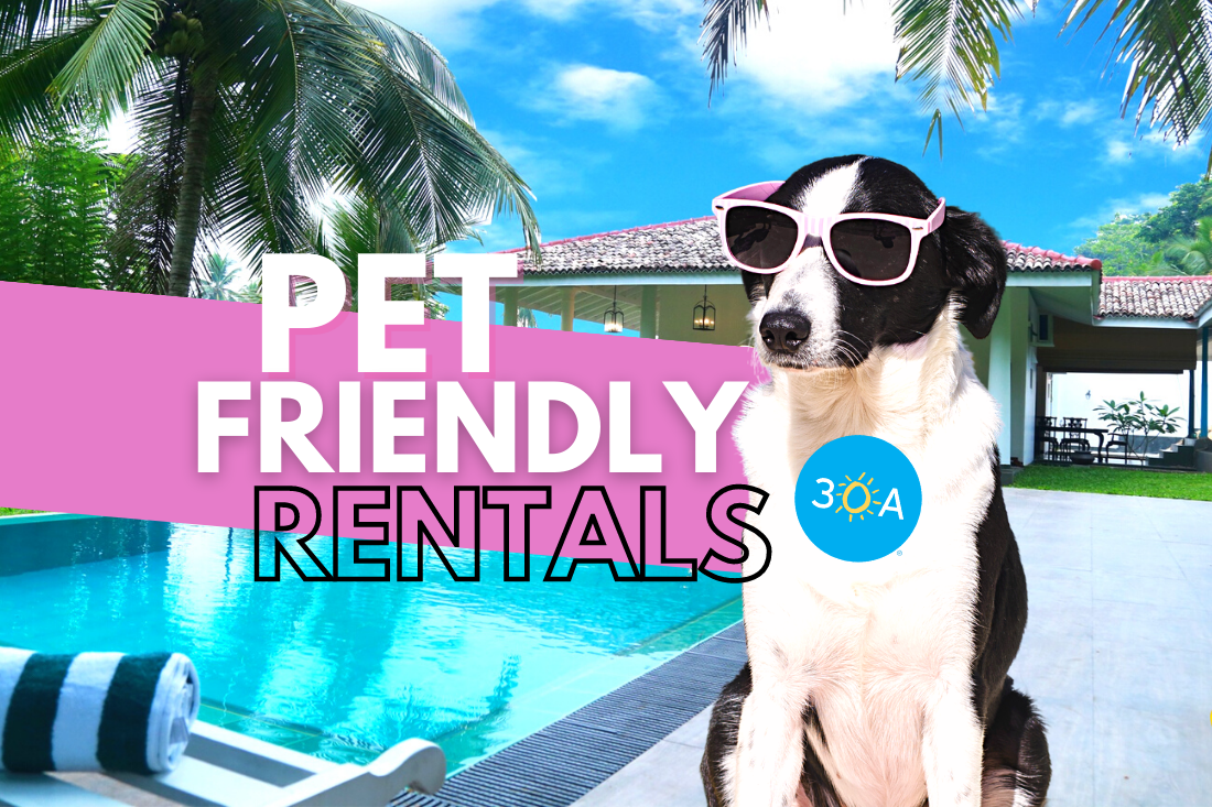 rentals pet friendly