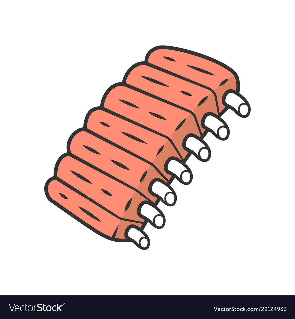 ribs vector