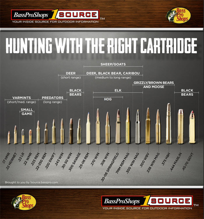 rifle chart calibers