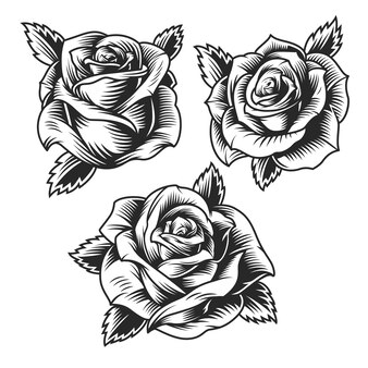 rose vector tattoo