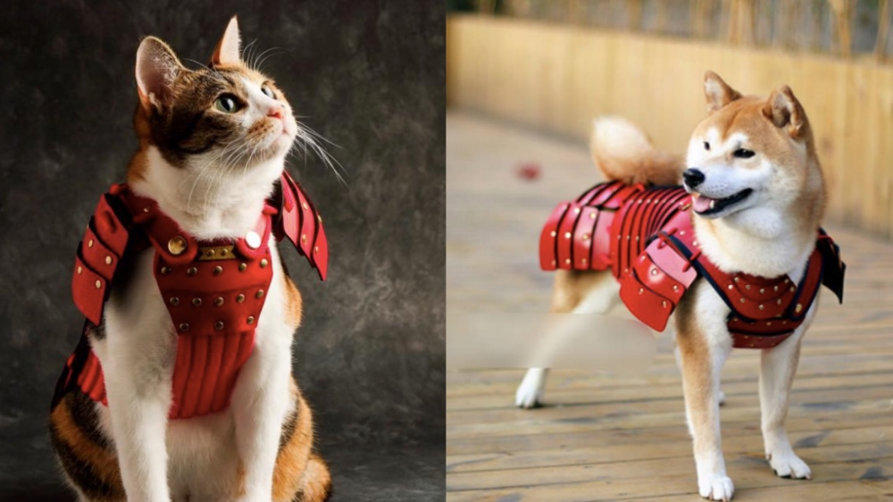 samurai age dog armor