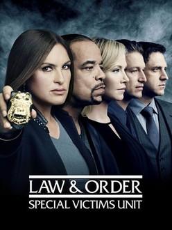 season 17 episode 13 law and order