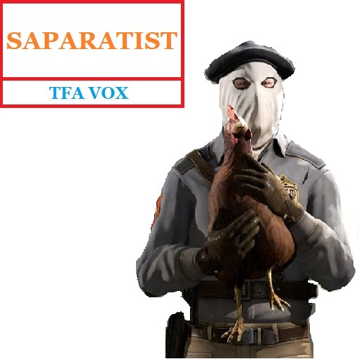 separatist csgo