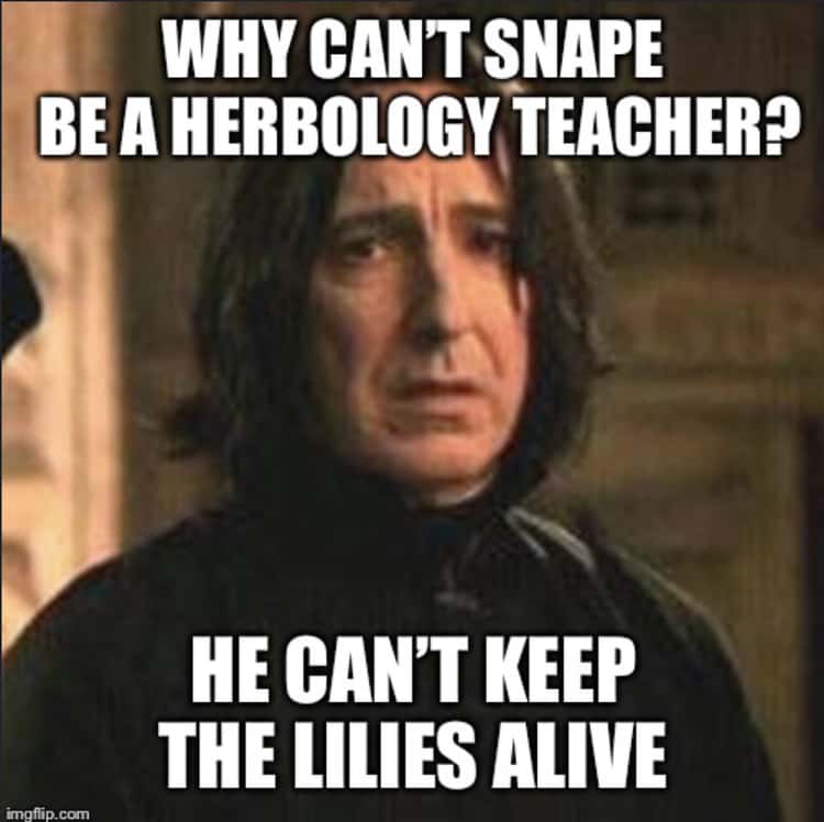 severus snape meme