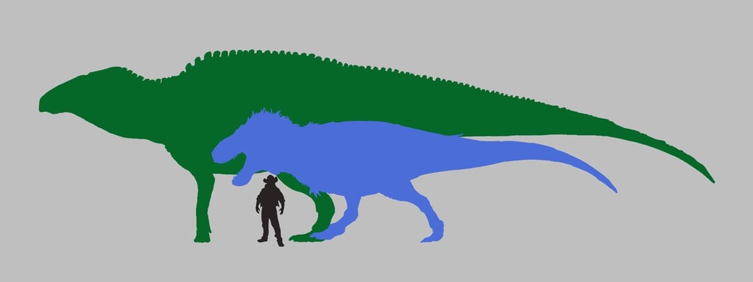 shantungosaurus vs t rex size