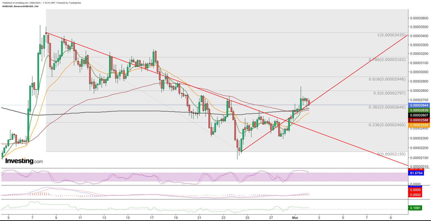 shiba coin tl grafik