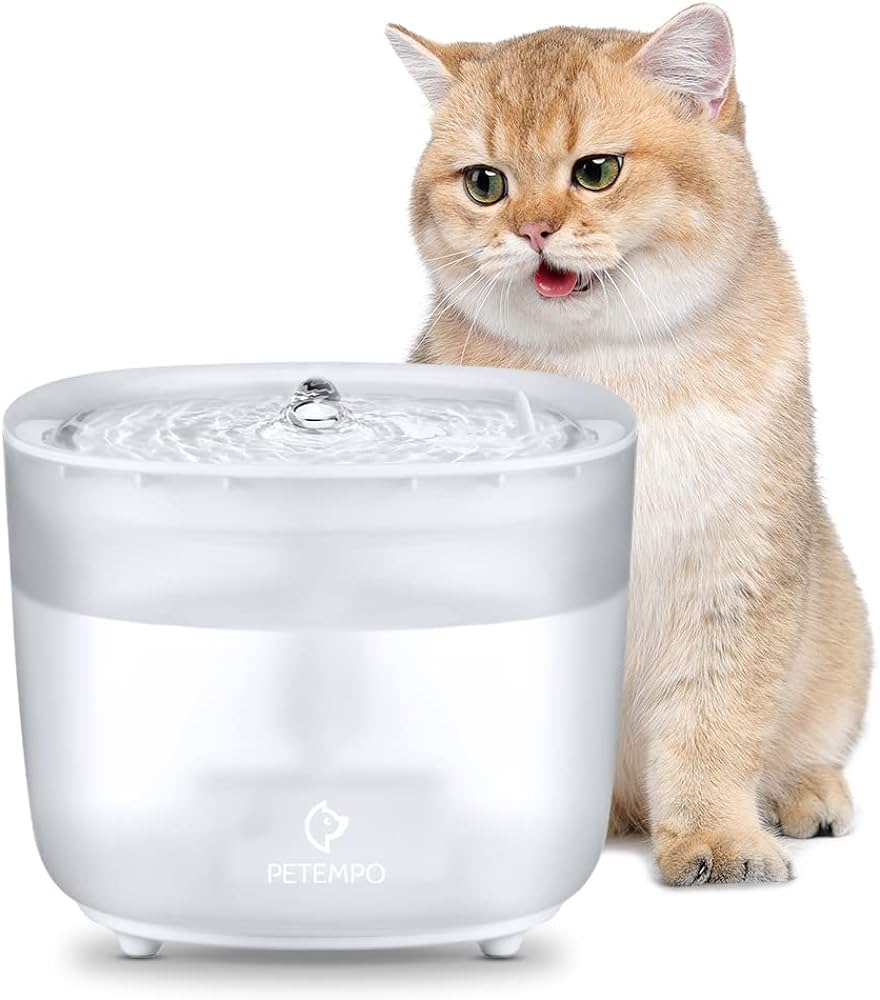 silent cat water fountain