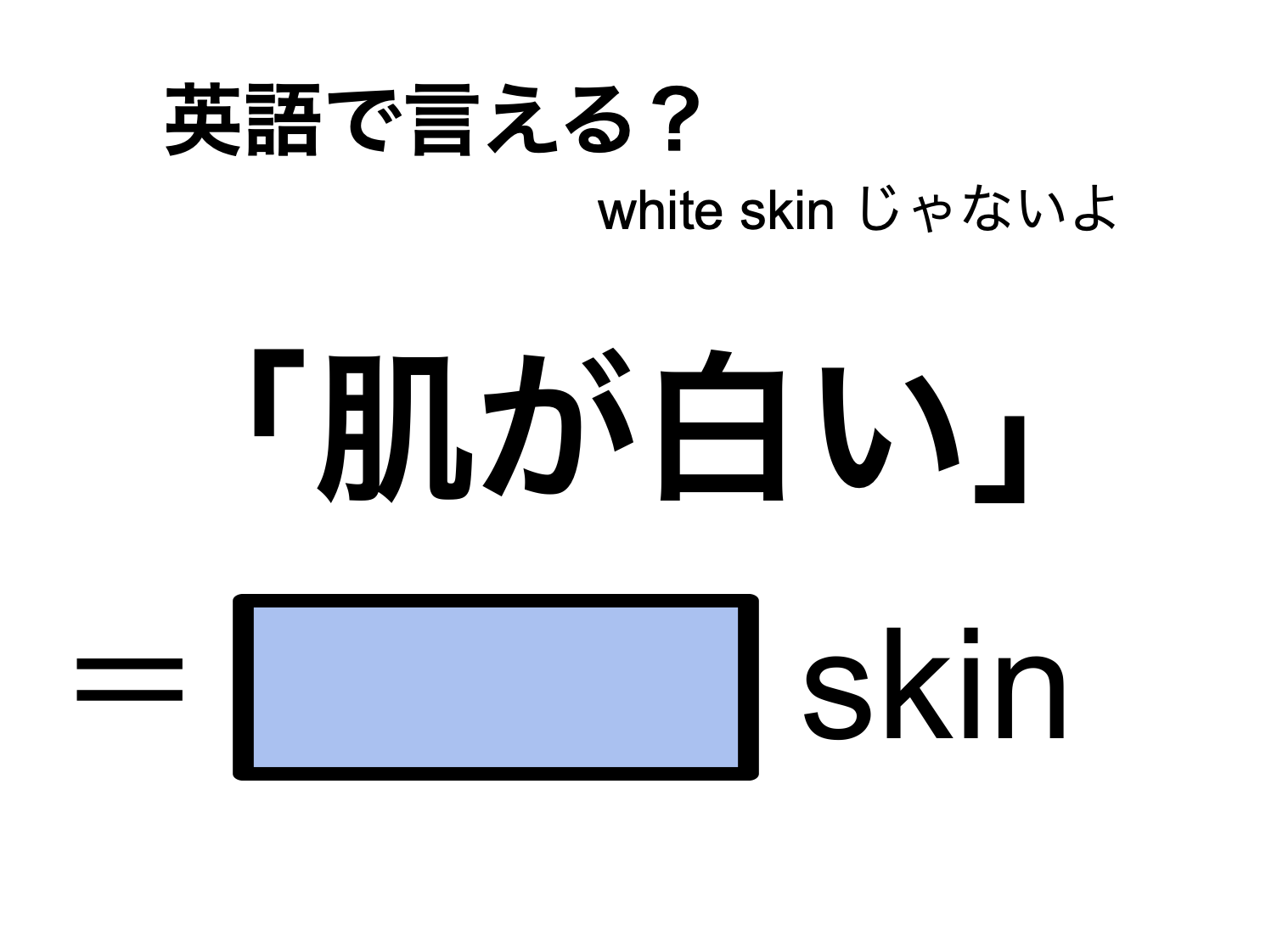 skin 意味