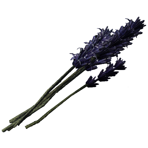 skyrim lavender