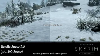 skyrim nordic snow