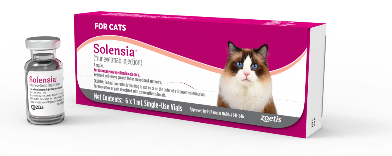 solensia for cats uk