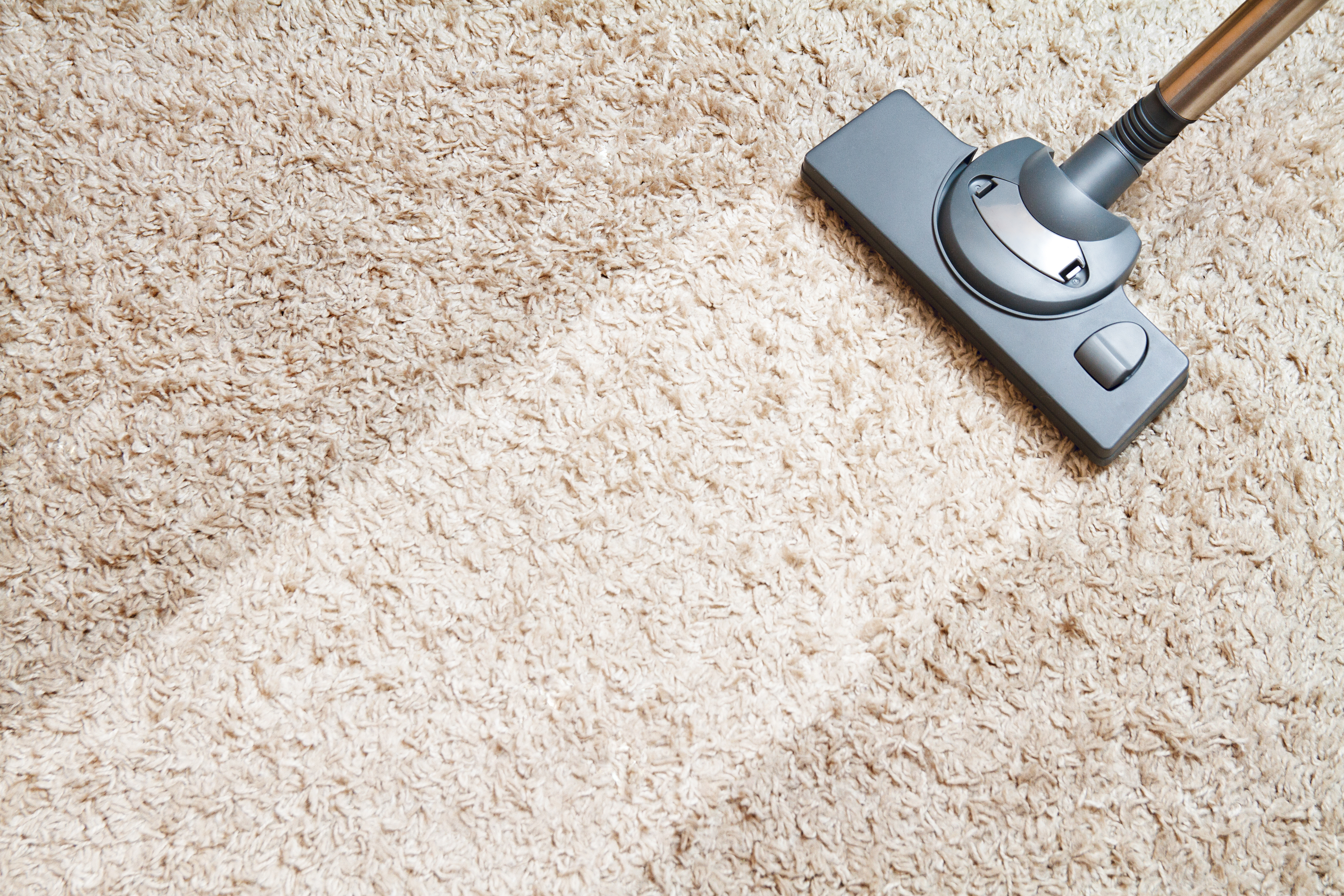 some handy ideas to keep your carpets clean. vexhibits.com