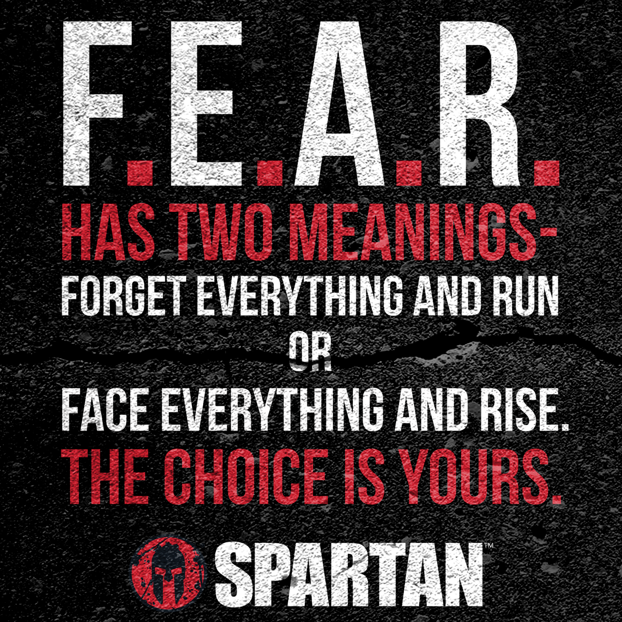 spartan race quotes