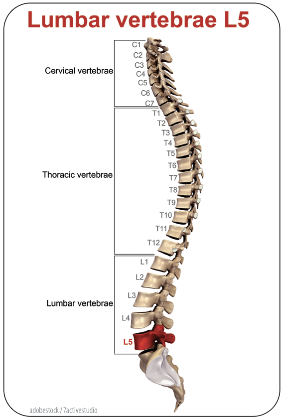 spinal stenosis lumbar region icd 10