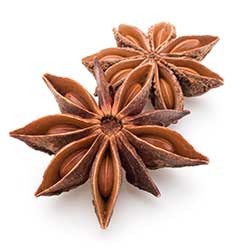 star of anise pronunciation