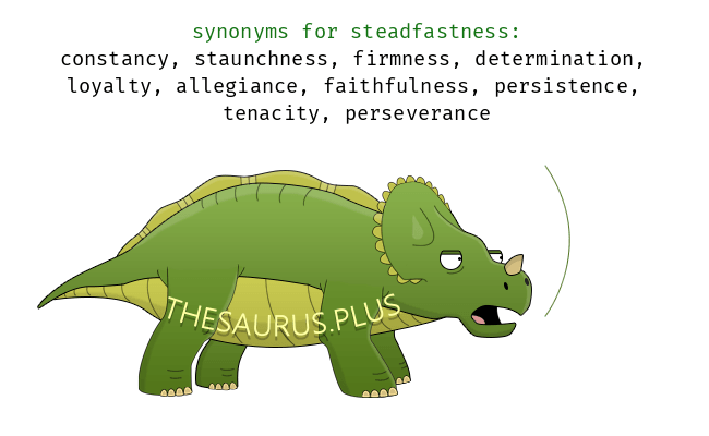 steadfastness synonym