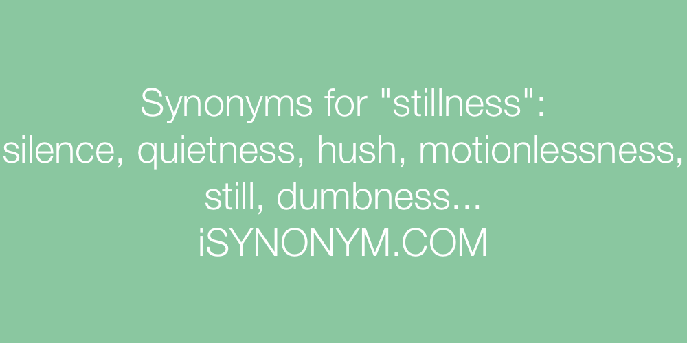 stillness synonym