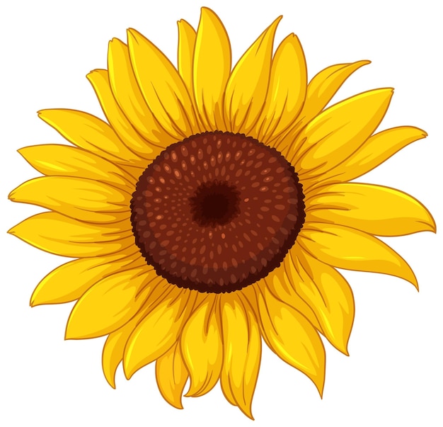 sun flower clipart
