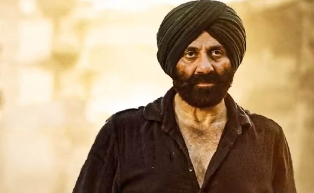 sunny deol all movie box office collection