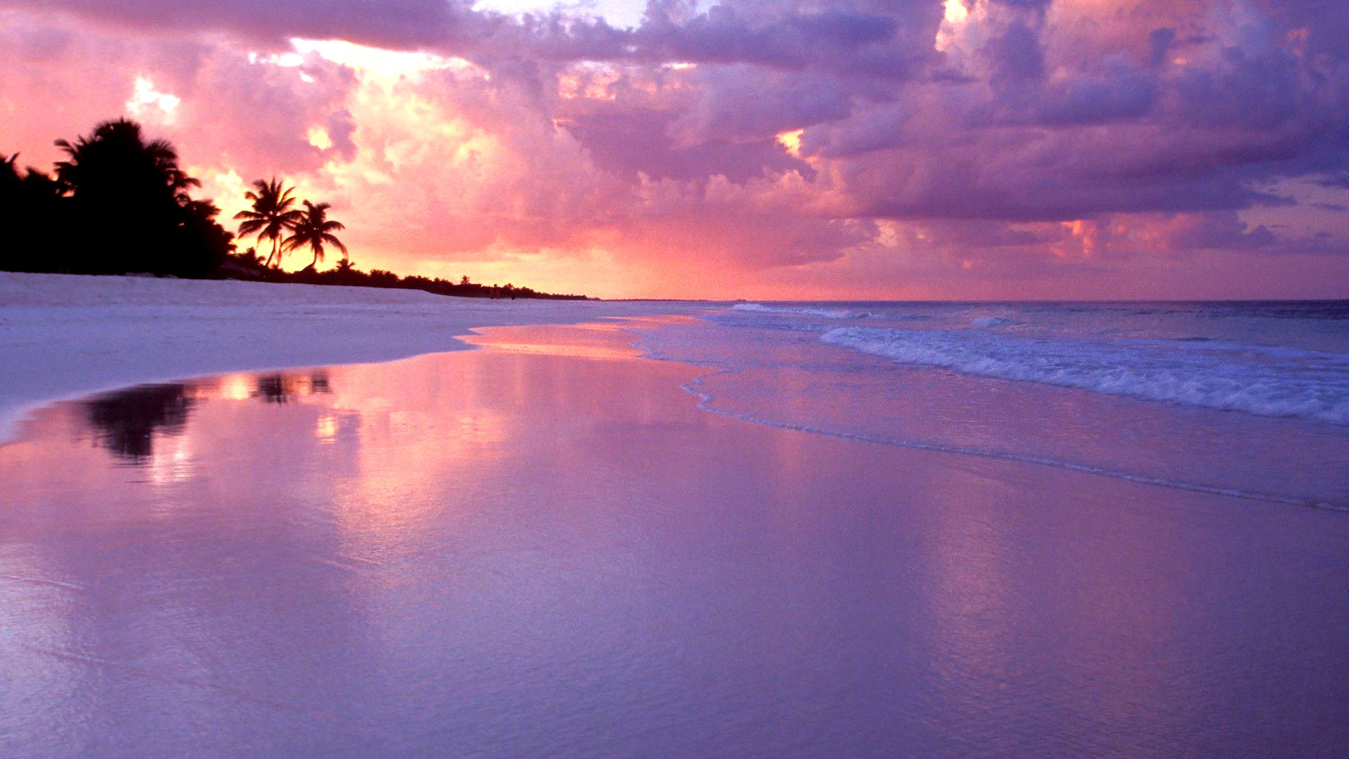 sunset beach desktop wallpaper