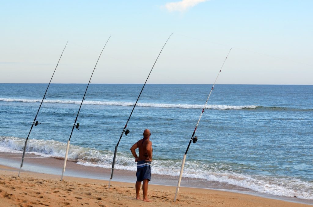 surf fishing report lbi nj