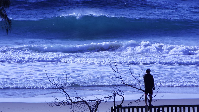 surf forecast noosa heads