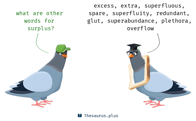 surplus synonym