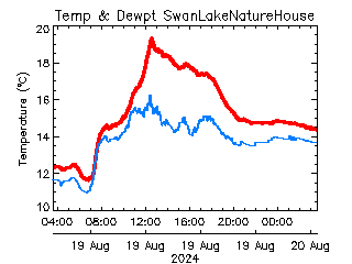 swan lake weather