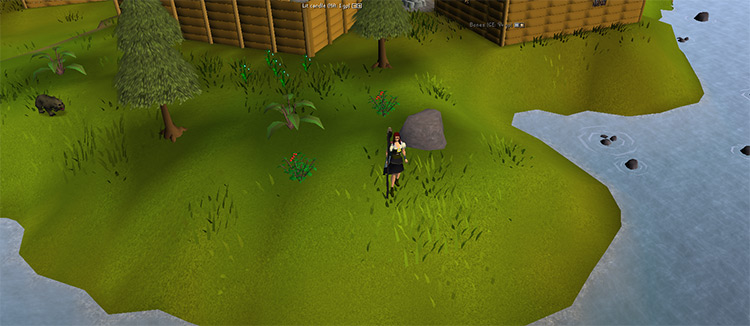 swordfish osrs location