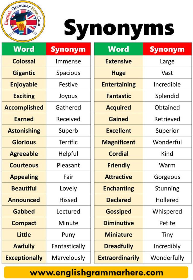 synonyms for picture